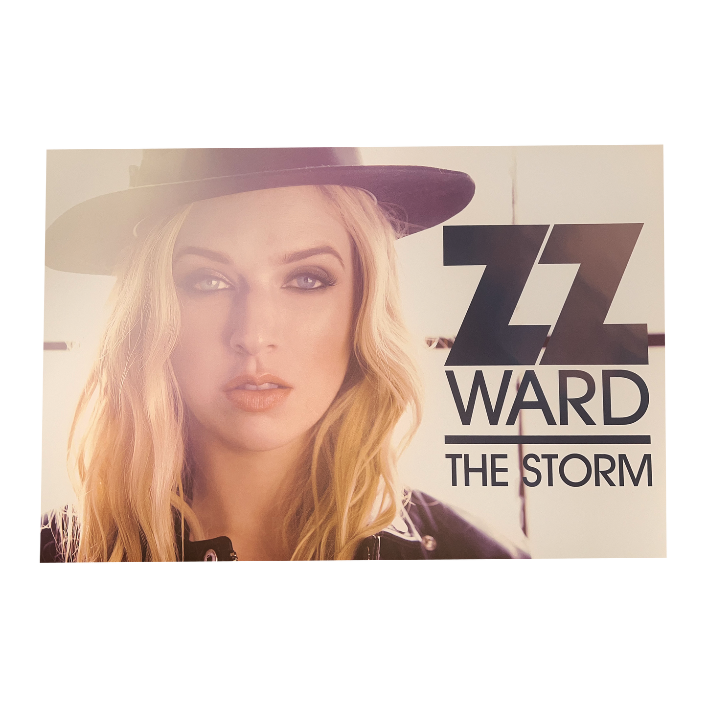 Poster - The Storm